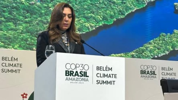 الدكتورة منال عوض وزيرة التنمية المحلية