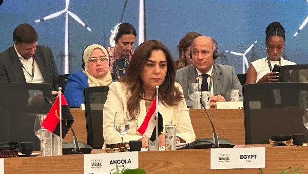  الدكتورة منال عوض وزيرة التنمية المحلية والقائم بأعمال وزير البيئة