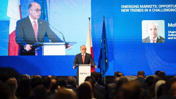 الدكتور محمد فريد رئيس البورصة المصرية