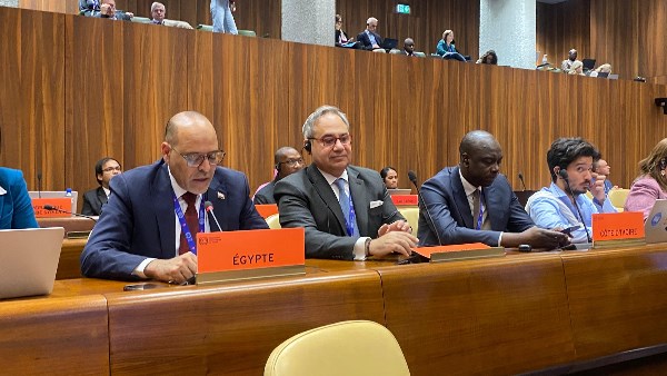 وزير العمل في مداخلة أمام مجلس إدارة منظمة العمل الدولية بجنيف