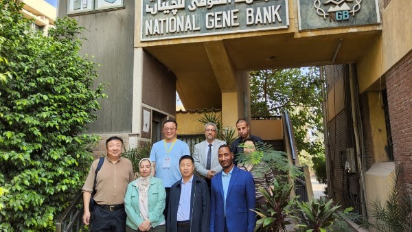 البنك القومي للجينات يستقبل وفد الأكاديمية الوطنية للغابات بالصين لتعزيز التعاون البحثي المشترك