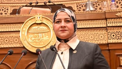 مروة قنصوة أمين سر لجنة الطاقة بمجلس الشيوخ