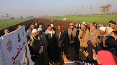 محافظ المنيا من أحد الحقول الزراعية