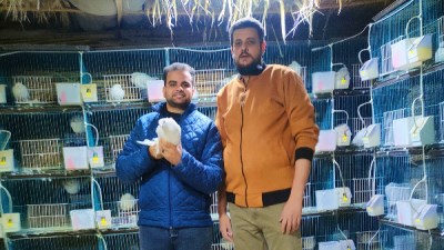 مراسل موقع "بصراحة الإخباري" يحاور "إمبراطور الحمام" عمرو مجدي.