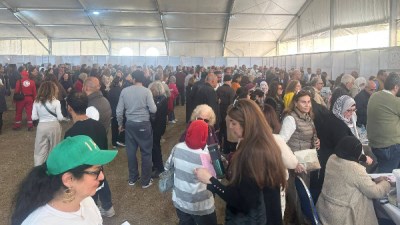 الانتخابات 