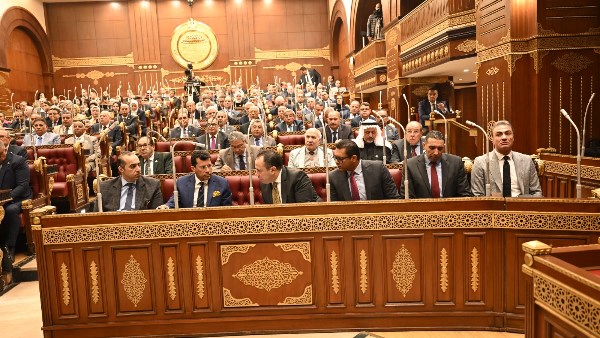 مجلس الشيوخ 