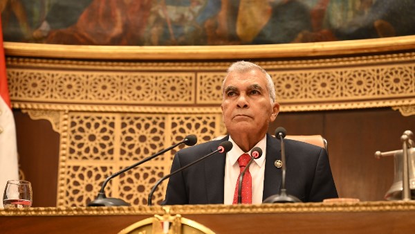  المستشار عصام الدين فريد