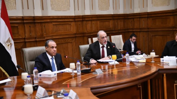 جانب من الجلسة 