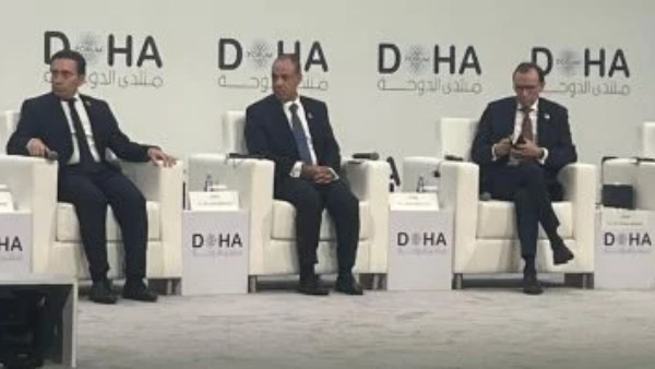 وزير الخارجية يشارك في جلسة بشأن مسارات السلام في غزة