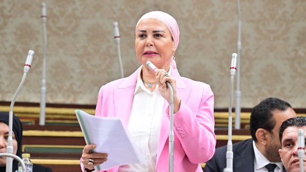 أمل سلامة عضو مجلس النواب