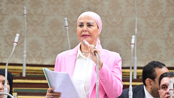 النائبة أمل سلامة، عضو مجلس النواب وعضو لجنة حقوق الإنسان