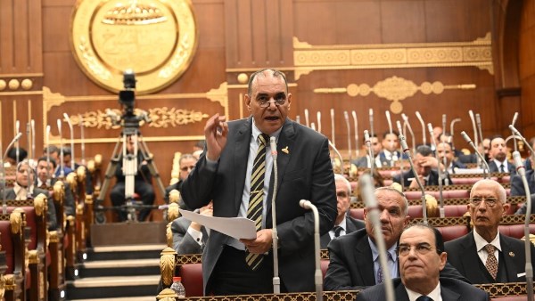 النائب رجائي عزت، عضو مجلس الشيوخ