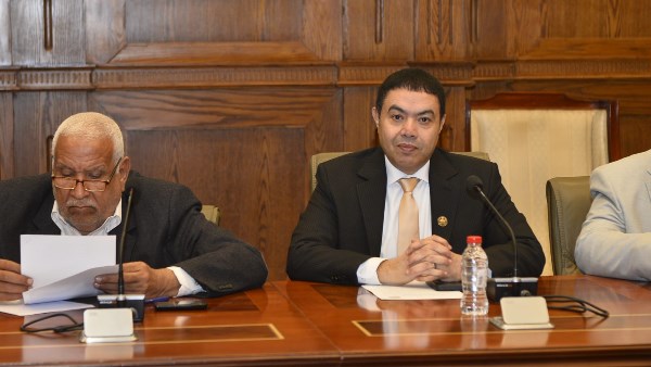 إسماعيل الشرقاوي عضو مجلس الشيوخ 