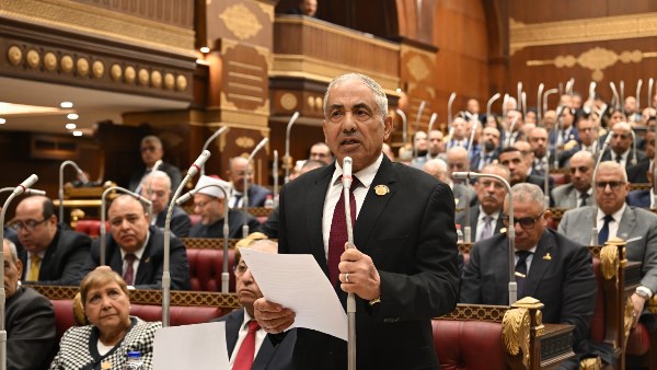 وكيل مجلس الشيوخ 