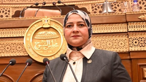 مروة قنصوة أمين سر لجنة الطاقة بمجلس الشيوخ