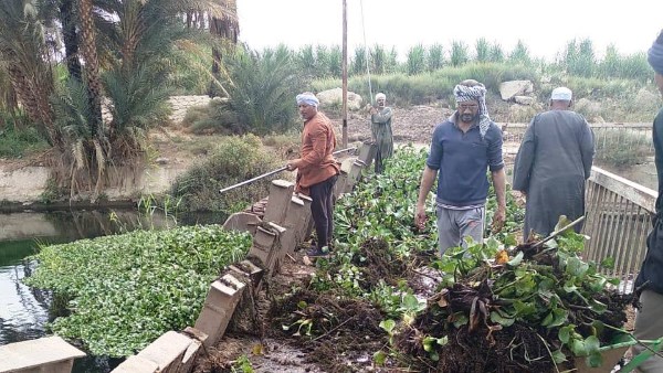  تطهير ترع مناطق الإستصلاح الزراعى من الحشائش