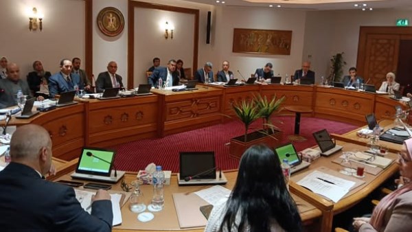 لتعزيز التعاون.. لجنة العلاقات المصرية الإفريقية تعقد اجتماعها الدوري