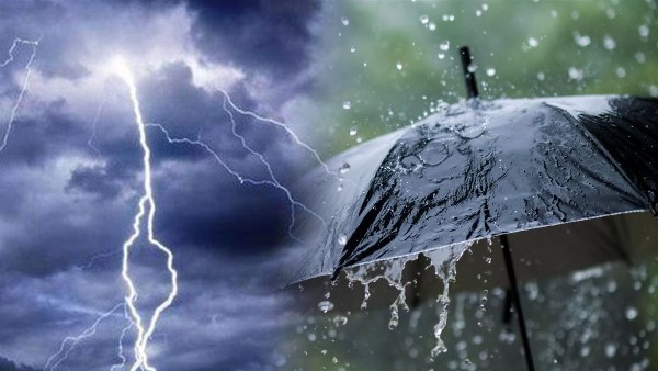 بارد يصاحبه شبورة كثيفة.. توقعات طقس الغد 28 ديسمبر 2025