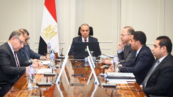 وزير الخارجية يستعرض الرؤية المصرية لتحقيق السلام بشرق الكونجو والصومال 