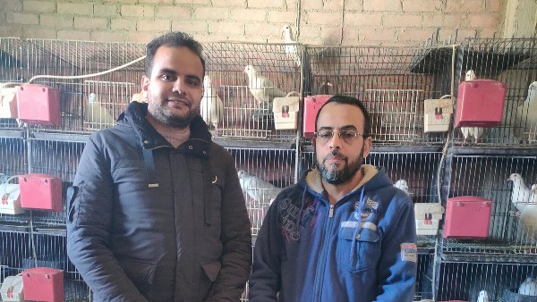 مراسل موقع بصراحة مع المعلم وتاجر الحمام أحمد صدقي