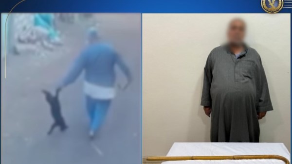 قيام أحد الأشخاص بالتعدي على قطة بعصا خشبية بالشرقية