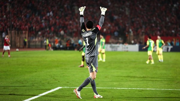 محمد الشناوي