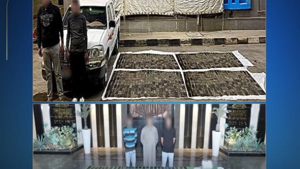 سقوط عناصر البؤر الإجرامية في قبضة أجهزة وزارة الداخلية