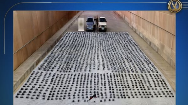 ضبط عنصرين جنائيين في قبضة الداخلية