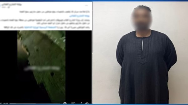 كشف ملابسات واقعة بلطجة بقنا بعد تداول فيديو على مواقع التواصل الاجتماعي