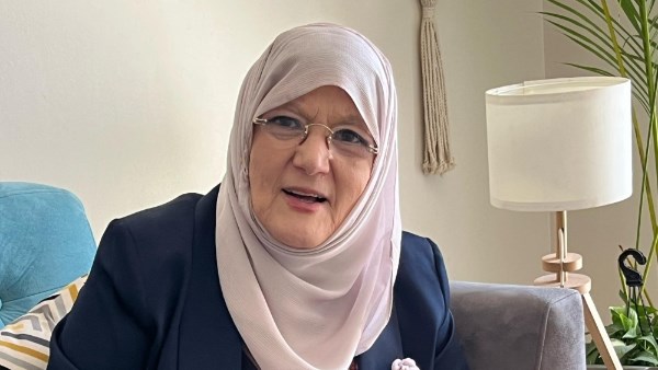 شمس البارودي