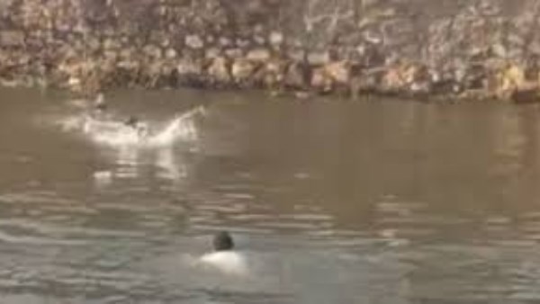 ضحية الشهامة.. شاب يفقد حياته خلال إنقاذ شخصين من الغرق