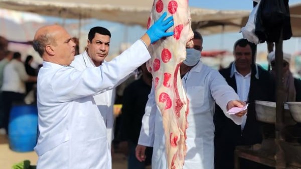 "الزراعة": ضبط أكثر من 682 طنًا من اللحوم غير الصالحة وتحرير 1060 محضرًا خلال نوفمبر