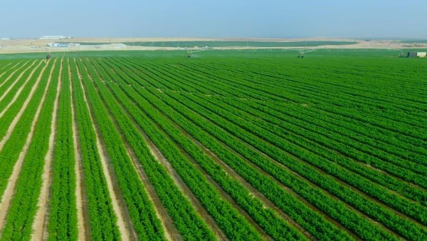 اراضي زراعية