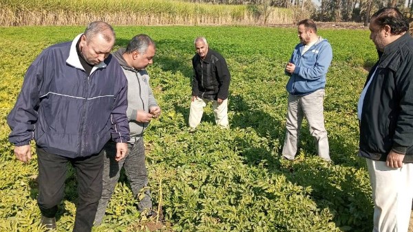 "الزراعة" تتابع موقف النمل الأبيض وتتفقد الزراعات الشتوية في محافظات الصعيد