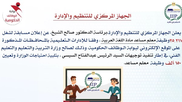 التنظيم والإدارة