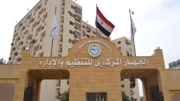التنظيم والادارة