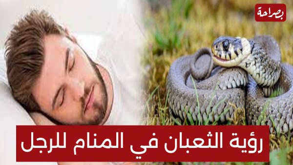 تفسير حلم الثعبان في البيت