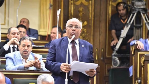النائب محمد عطية الفيومي
