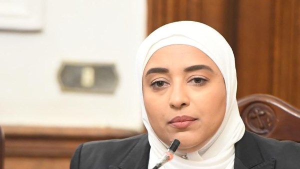 النائبة أميرة ابو شقة