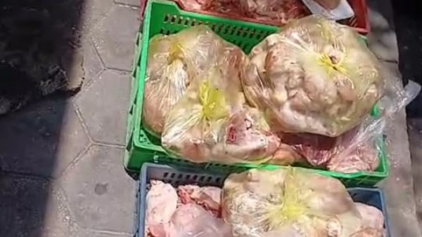 المضبوطات