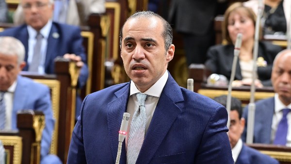 المستشار محمود فوزى