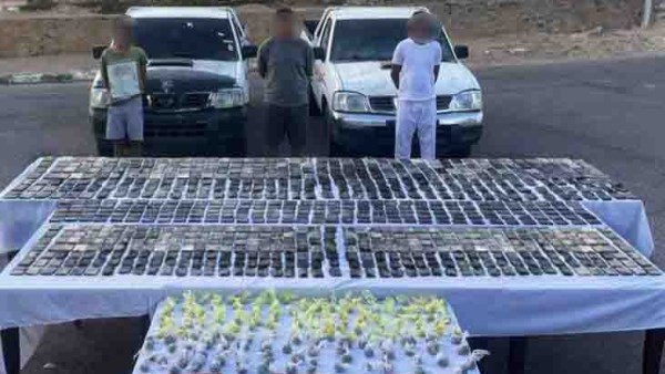 المتهمين والمضبوطات 