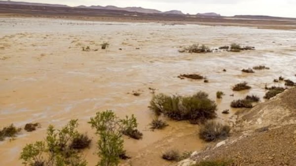 الري: تنفيذ 561 منشأً للحماية من السيول بشمال وجنوب سيناء لحماية المواطنين من الأمطار