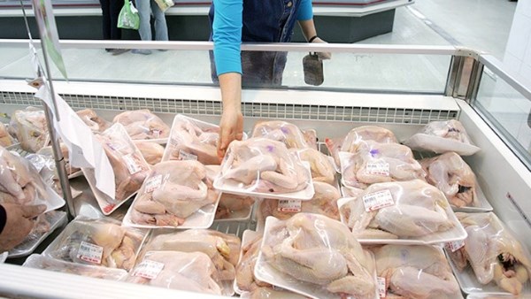 بـ 125 جنيهًا للكيلو.. التموين تستمر في طرح الدواجن المجمدة بالمجمعات الاستهلاكية