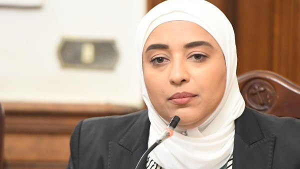 النائبة أميرة أبوشقة: مشروع قانون الإيجارات القديمة يحتوي على ثغرات قانونية واضحة
