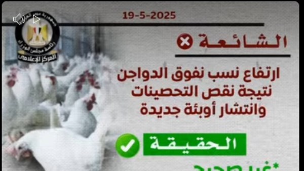 الحكومة تنفي انتشار فيروسات وبائية بين الدواجن ويؤكد على توافر التحصينات دون عجز