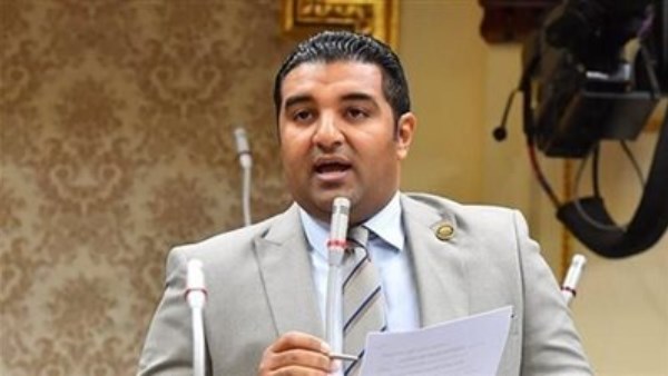 بسبب استمرار تعرض المواطنين للخطر.. تحرك برلماني لمطالبة الحكومة بوضع خطة لمواجهة انتشار الكلاب الضالة