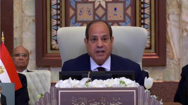  الرئيس عبد الفتاح السيسي