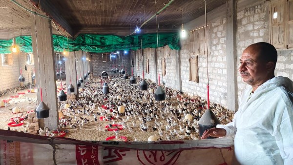 بيطرى الاقصر يشارك في عمل مسح لكافة المزارع بيطرى الاقصر يشارك في عمل مسح لكافة المزارع