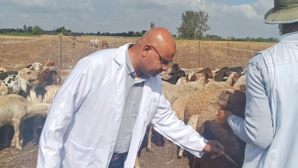 جزء من الحملة جزء من الحملة